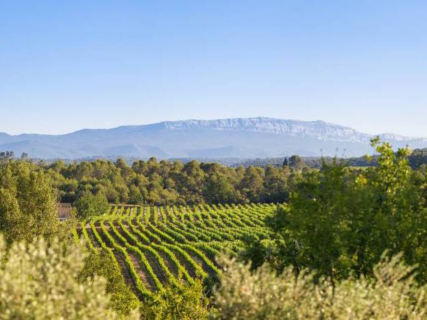 Chambres d'hôtes en campagne provençale, Domaine La Procureuse